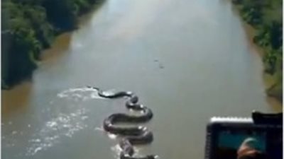 انكوندا عملاقة في غابات الأمازون تهاجم مروحية قناة ناشيونال جيوغرافيك