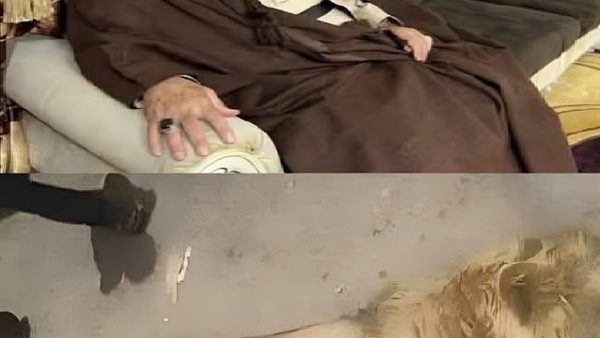 لمحة نيوز