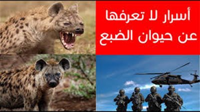ما هو الحيوان الذي لا يُدفن إلا بحضور الشرطة؟ السبب سيجعلك تندهش!