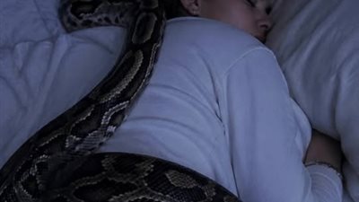 عاشت مع ثعبان ضخم 3 سنوات… ثم اكتشفت أنه لم يكن يحبها بل كان يقيسها