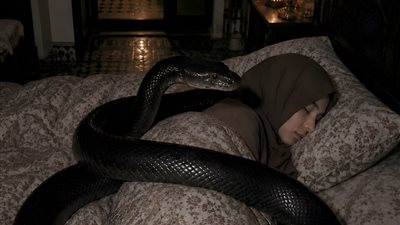 أصبح الحنش الذي أربيه غريبًا
