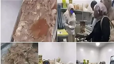 لمحة نيوز
