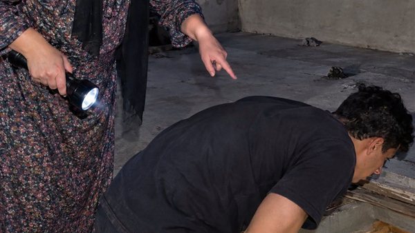 لمحة نيوز