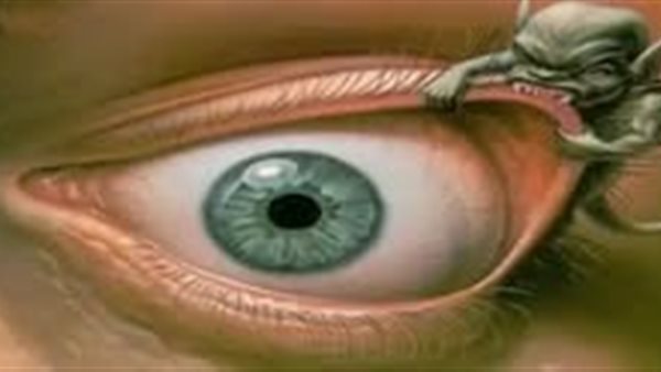 لمحة نيوز