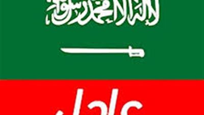 كل ما تريد معرفته عن التأشيرة السعودية المفتوحة: الإقامة، العمل، والجنسية لاحقًا!