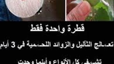 قطرة واحدة فقط تعــالج الثآليل والــزوائد اللـحمية في 3 أيام تشفي كل الأنواع وأينما وجدت ستتختفي وتمـوت