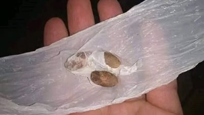قصة جواز عن حب