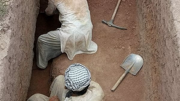 لمحة نيوز