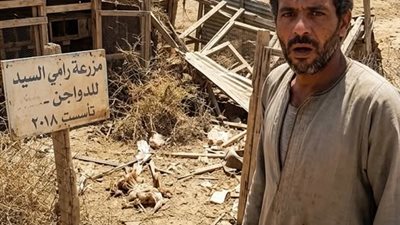 حـين عـاد الحـلم للحـياة كـاملة بقلـم منـي السـيد