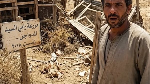 لمحة نيوز